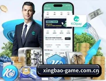 星宝体育 APP