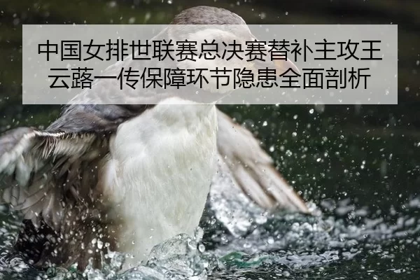 zhong-guo-nv-pai-shi-lian-sai-zong-jue-sai-ti-bu-zhu-gong-wang-yun-lu-yi-chuan-bao-zhang-huan-jie-yin-huan-quan-mian-2-574.jpg